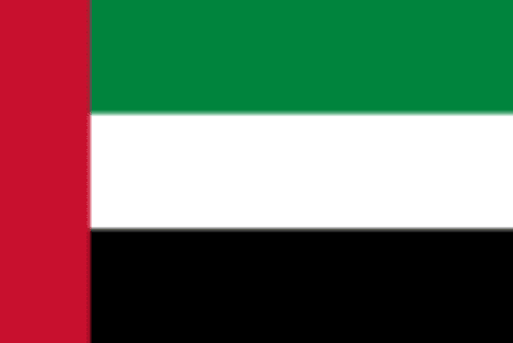 UAE flag