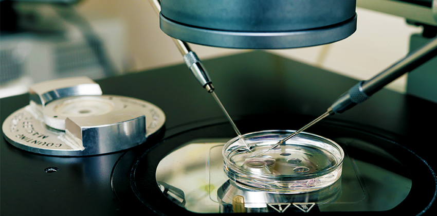 How IVF Labs Can Reduce Errors with Technology