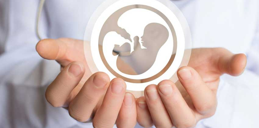 IVF Clinic Accreditation: What Documentation Your Software Must Support