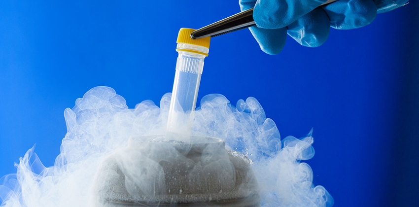 The Role of Cryopreservation Data Management in Long-Term Patient Outcomes